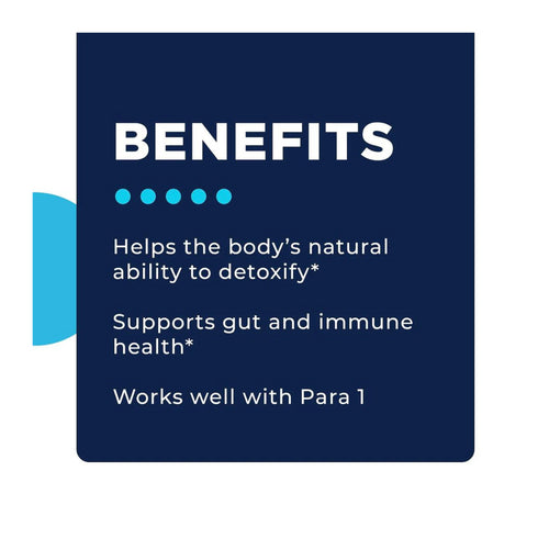 Para 2|60 daga skammtur