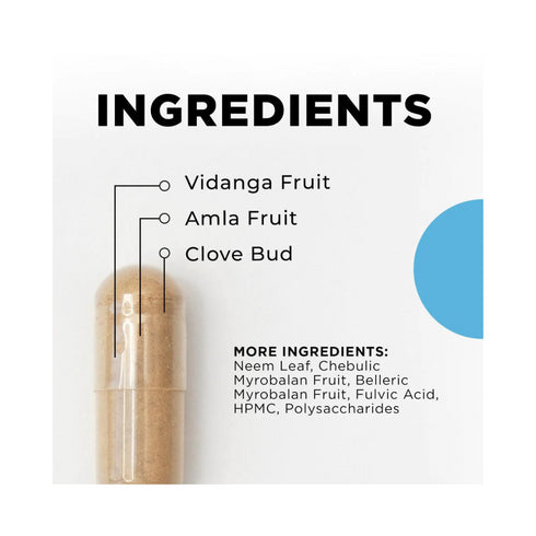 Para 2|60 daga skammtur