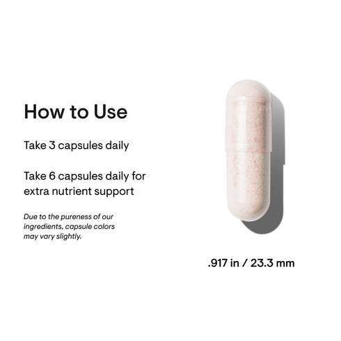 Men's Multi 50+| Hágæða fjölvítamín/steinefnablanda fyrir karla 50+