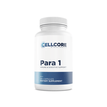 Para 1 ｜Mimosa pudica seed