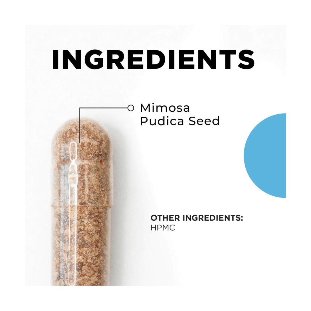 Para 1 ｜Mimosa pudica seed | Heilsubarinn