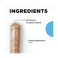 Thumbnail for Para 1 ｜Mimosa pudica seed | Heilsubarinn